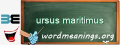 WordMeaning blackboard for ursus maritimus